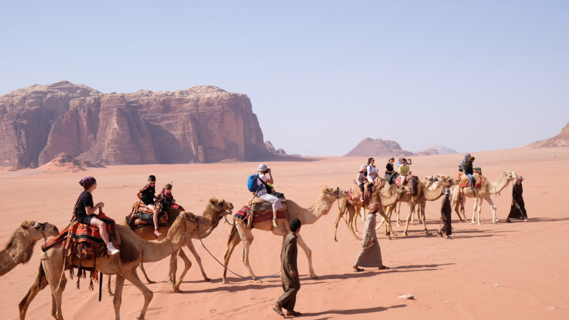 Wadi Rum dromedari