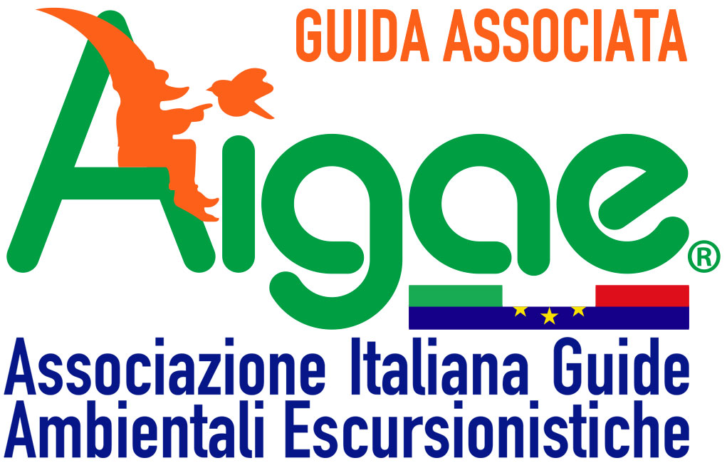 Riconoscimento di iscrizione all'associazione di categoria AIGAE